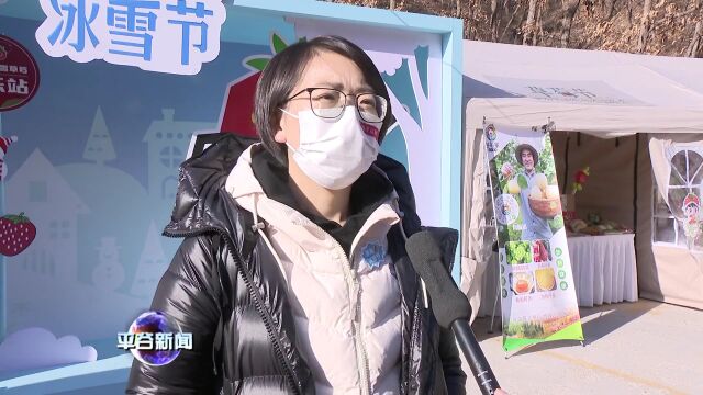 冰雪之约 “莓”好开启 平谷区山东庄镇“草莓冰雪节”来袭