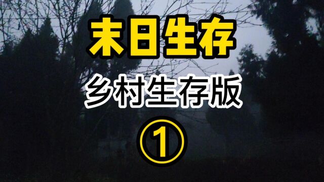 末日求生—乡村生存版①