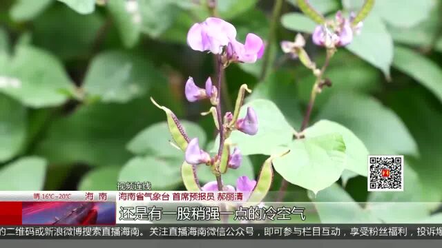 新一股冷空气今起影响琼岛 “阳康”们尤需注意驱寒保暖