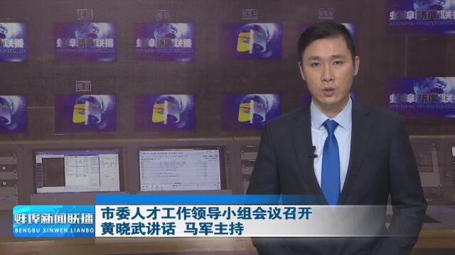 市委人才工作领导小组会议召开 黄晓武讲话 马军主持