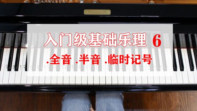 【学钢琴】入门级基础乐理,第六集,全音,半音和临时记号.