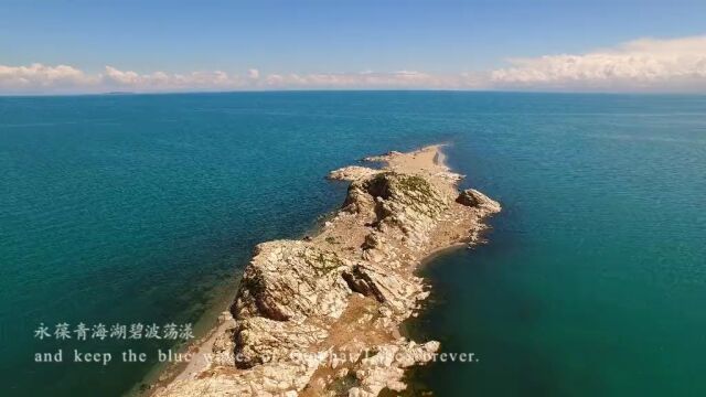 生物多样性优秀案例(29):青海湖水生态保护修复