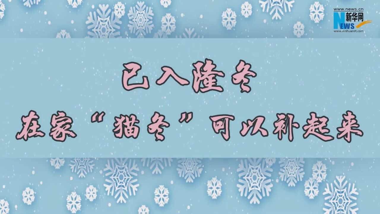 已入隆冬,在家“猫冬”可以补起来