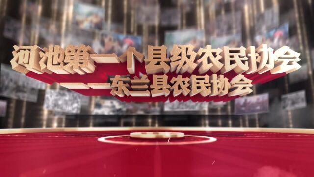 百年风华 河池红色经典5《河池第一个县级农民协会》