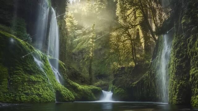 失眠治疗音乐,雨花纷扬+雷声隆隆,有助冷静温习