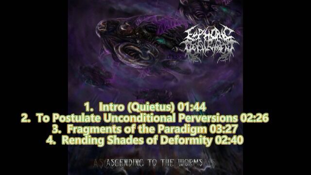 iGore Euphoric Defilement 2022 0104