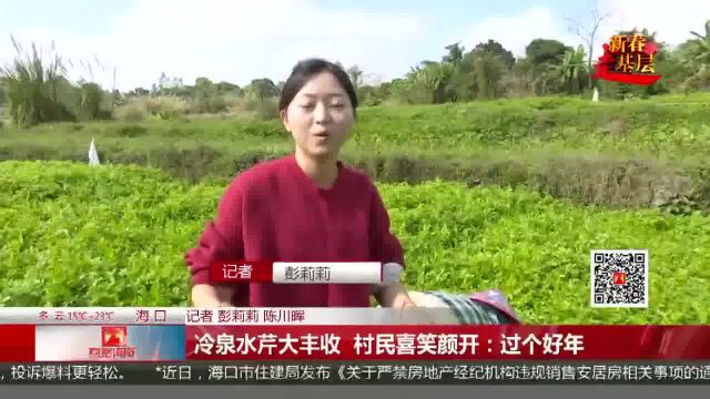 冷泉水芹大丰收 村民喜笑颜开:过个好年