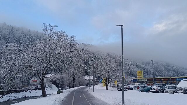 接连下了三日的大雪,这雪景简直了,看到了想要的雾凇