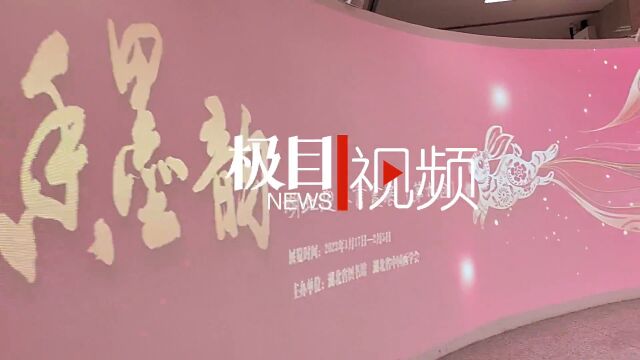 【视频】湖北省图书馆:迎春书画展,墨香伴新年