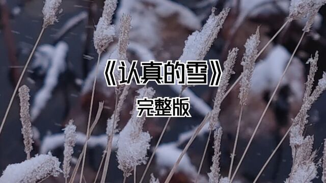 《认真的雪》完整版