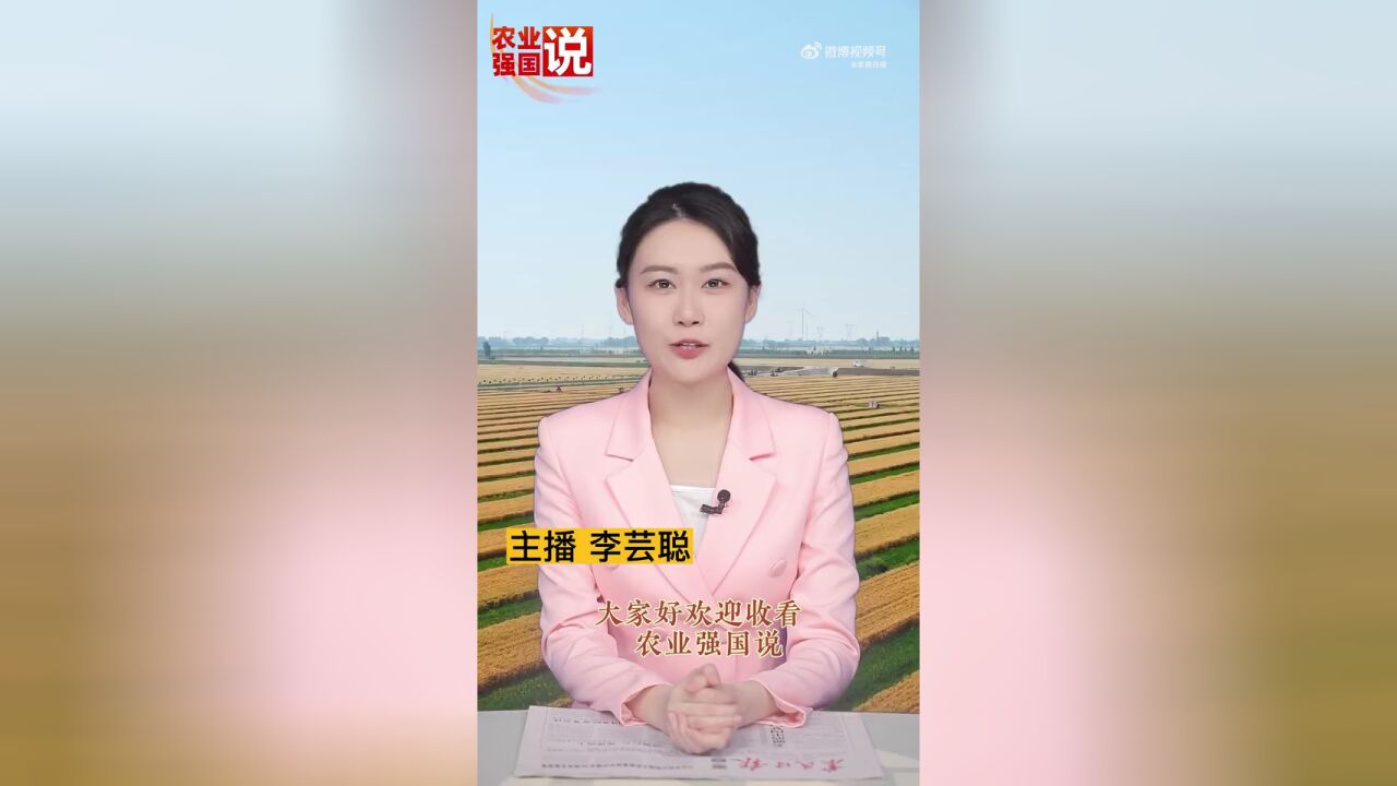 农业强国的头等大事是什么?