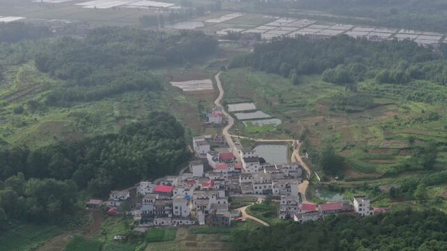 瑞昌市横港镇通门垅新农村祖堂落成庆典