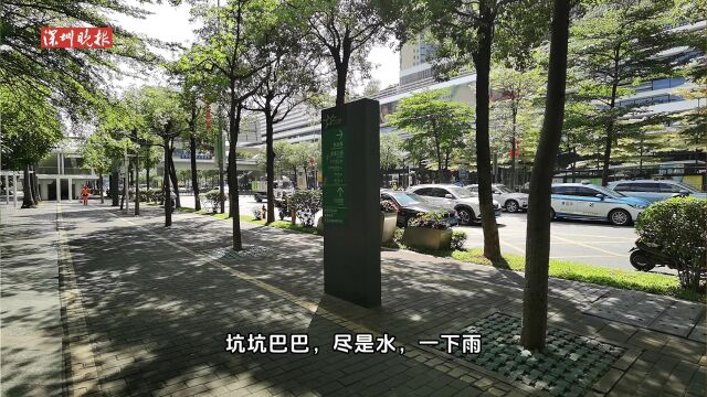 宝安交通长筑公司:“四新”助力城市交通品质跃升