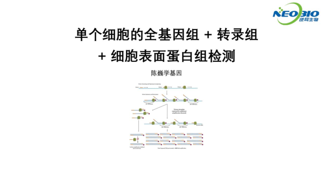 【陈巍学基因】单个细胞的全基因组 + 转录组 + 细胞表面蛋白组检测