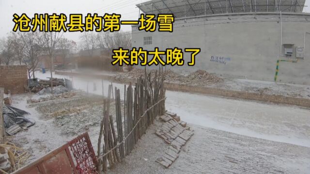 河北沧州终于下大雪了,农村雪景真美,瑞雪兆丰年新的一年开始了