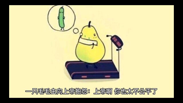 完美不苛求