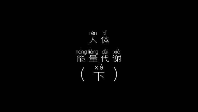 人体能量代谢全过程.(下篇)#健康减脂 #减脂 #高效燃脂 #人体能量代谢