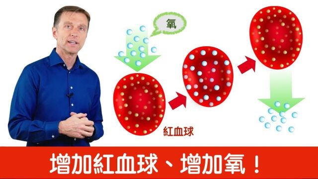 增加红血球、增加氧,短暂缺氧训练法,柏格医生 Dr Berg