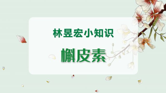 林昱宏小知识:槲皮素