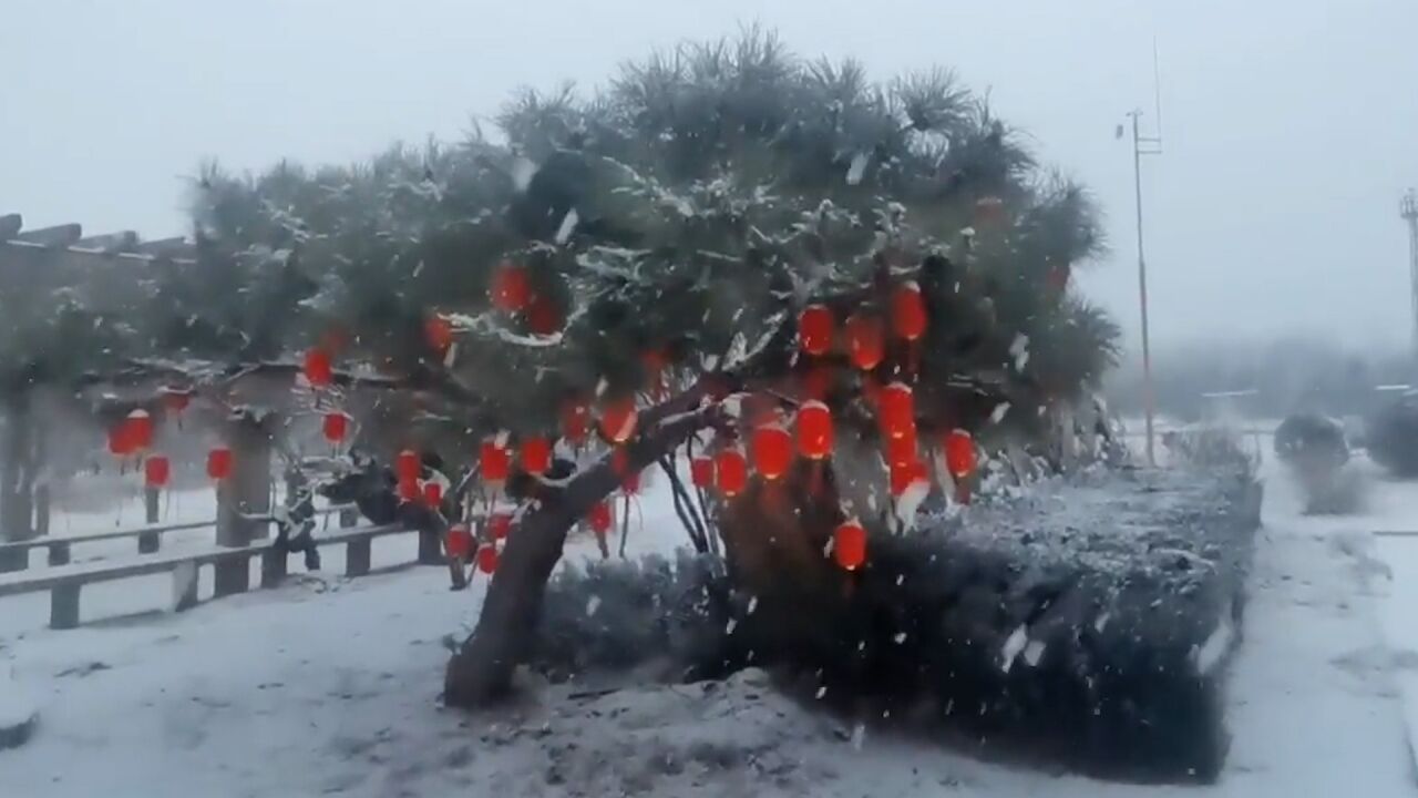 瑞雪兆丰年!北京迎兔年首场降雪 多地雪花飞舞如童话世界