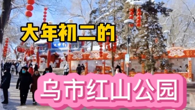 今天大年初二逛游乌鲁木齐红山公园