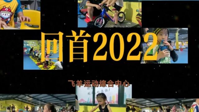 2022年飞羊运动年终总结