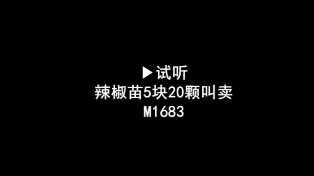 辣椒苗广告录音,辣椒苗叫卖录音,蔬菜苗语音广告配音