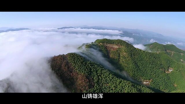 即将启动!六安市裕安区沪上农旅推介会走进松江