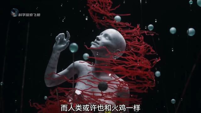 三体中细思极恐的农场主理论,如果人类是农场里的火鸡,那么农场主又是谁呢?颠覆你的认知.探索宇宙脑洞大开地球科幻三体农场主理论科学脑洞上分赛