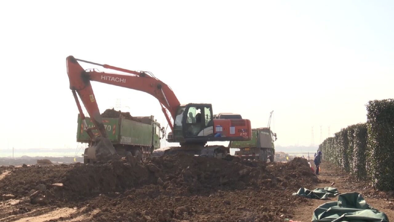 国际港务区加快渭河南岸绿带(一期)绿化项目建设