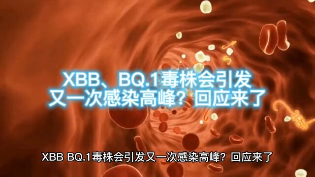 XBB、BQ.1毒株会引发又一次感染高峰?回应来了