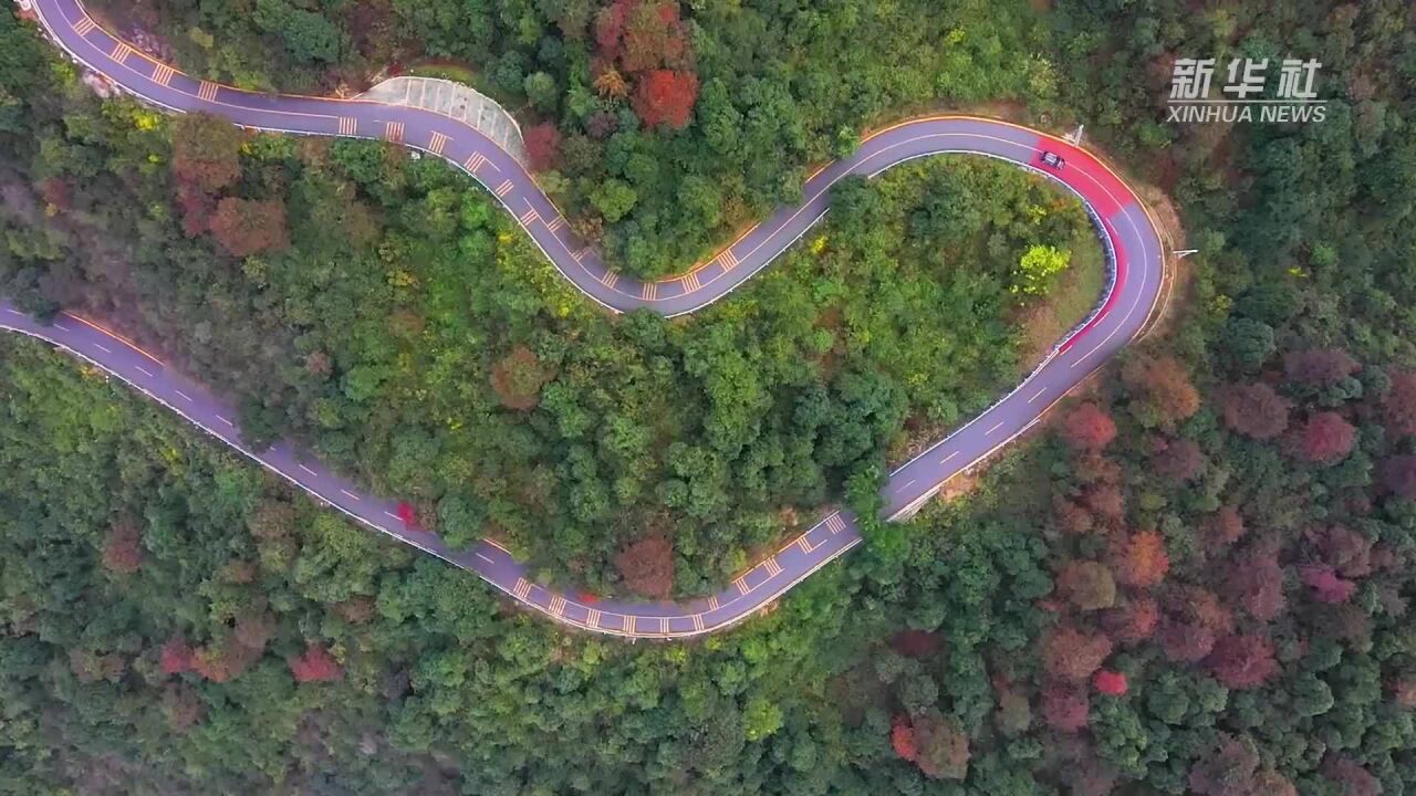 千城胜景|最是湾里恰芳华