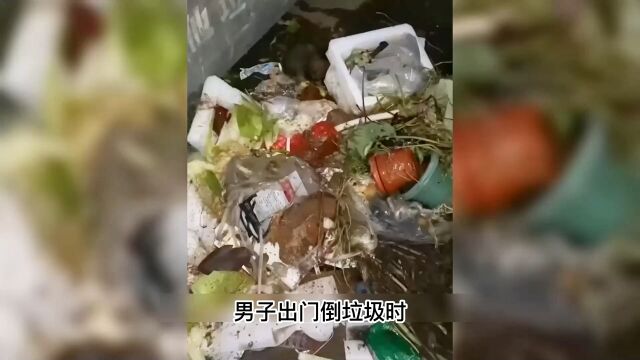 男子出门扔垃圾意外捡到一只流浪狗,医生说没必要救治了