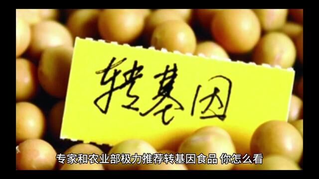 专家和农业部极力推荐转基因食品,你怎么看?