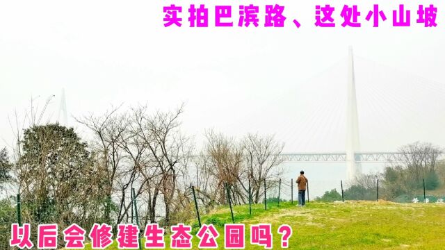 在重庆巴滨路某处山上发现大片开阔地,从这里望出去江景视野开阔