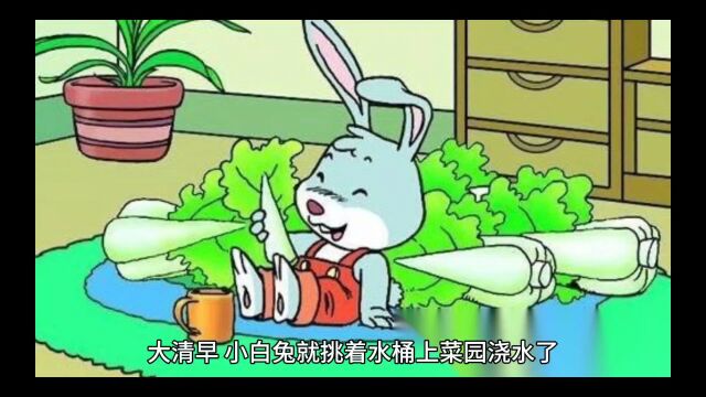 经典童话:小白兔和小花猫