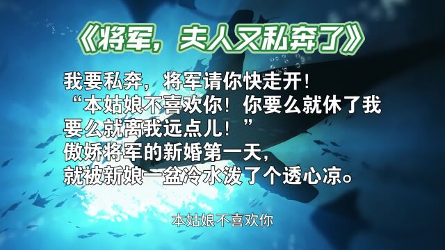 穿越古言小说:现代傲娇女VS古代傲娇男