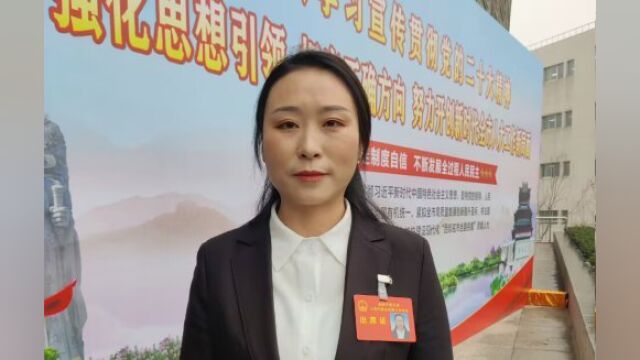 两会好声音|王芳:带动更多留守妇女提升创业就业技能,增加收入