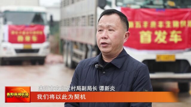 4家衡企获供港澳活猪出口“入场券” 今年我市预计供港澳活猪超5万头