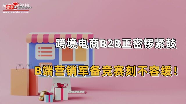 跨境电商B2B正密锣紧鼓,B端营销军备竞赛刻不容缓!