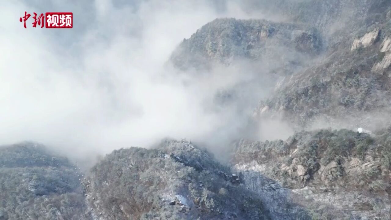 航拍雪后河南老界岭:云海翻腾美不胜收