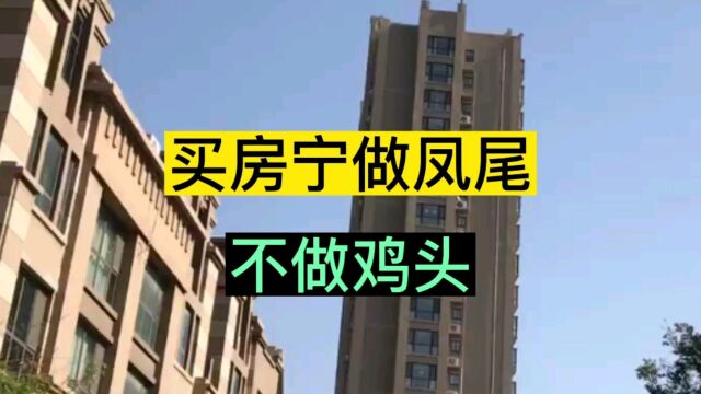 买房宁做凤尾不做鸡头