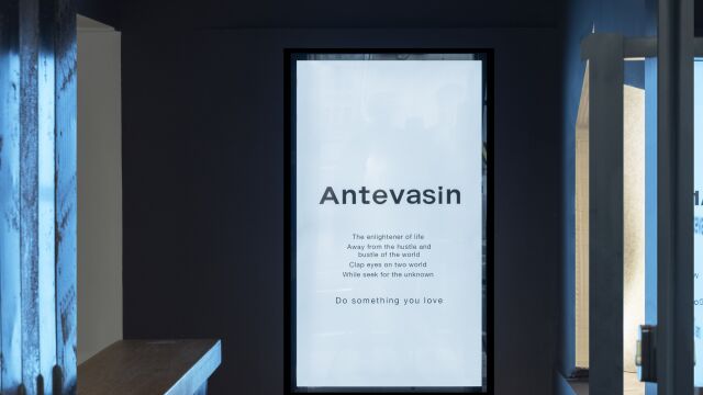 Antevasin