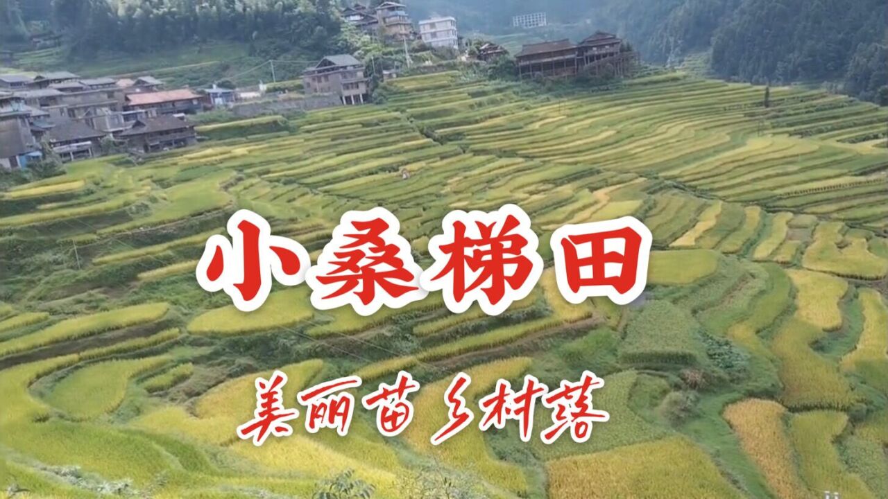 广西融水小桑梯田,民风淳朴的苗族村落,画家摄影家创作采风胜地