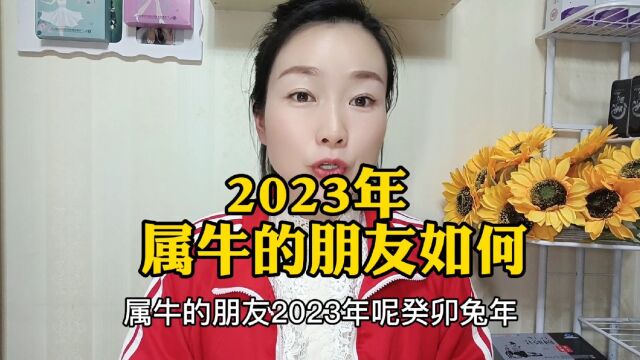 2023年,属牛的朋友如何