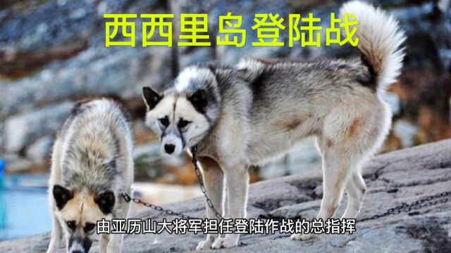 西西里岛登陆战的胜利,意味着盟军将会在地中海畅通无阻