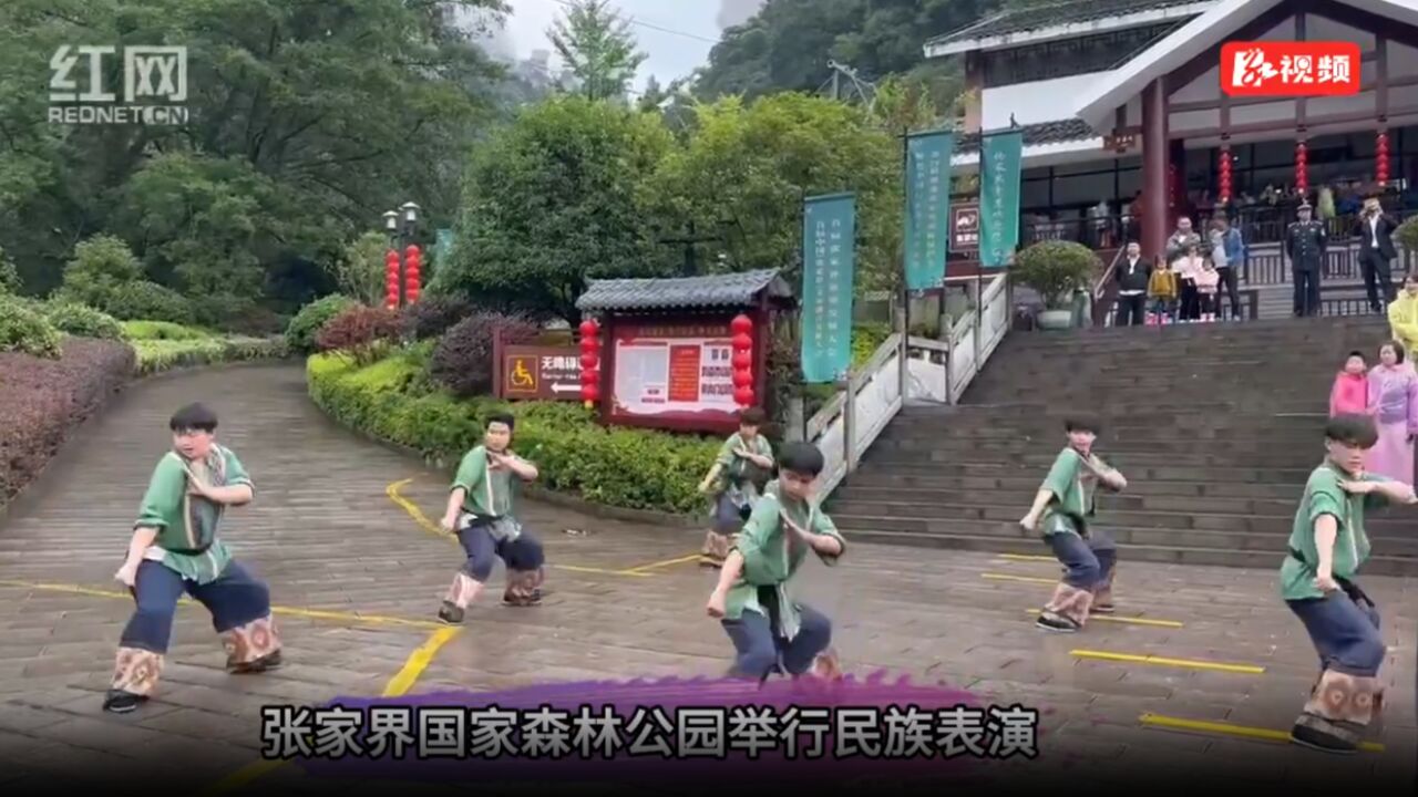 满意在张家界|张家界国家森林公园:飒飒秋雨阻挡不了我们的热情服务