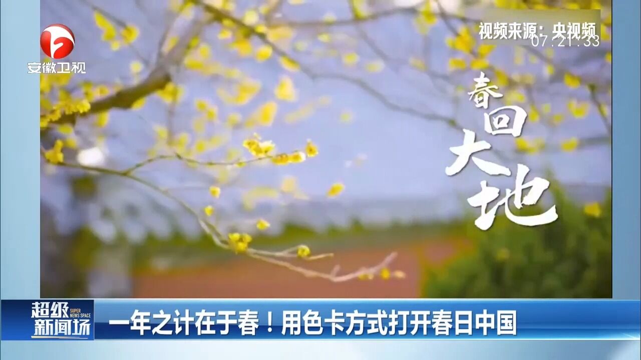 一年之计在于春!用色卡方式带你打开春日中国