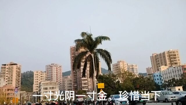 一寸光阴一寸金,珍惜当下好春光