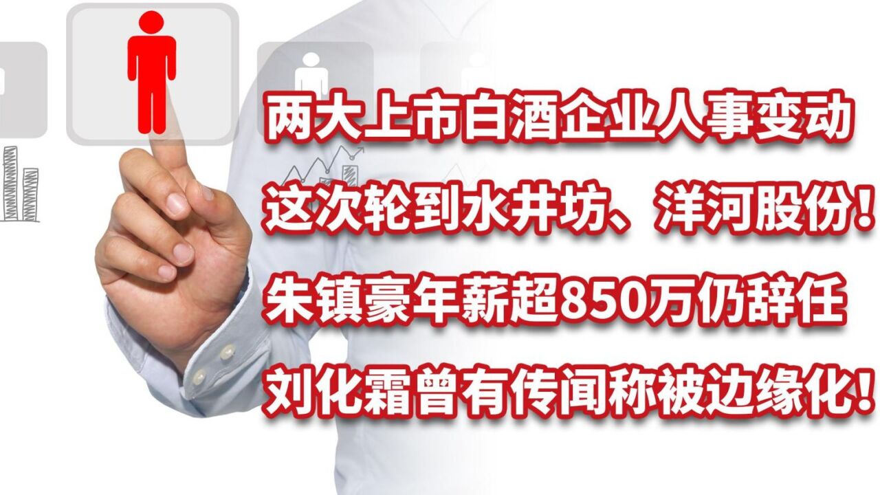 白酒企业离职潮!洋河股份人士变动,水井坊朱镇豪辞任年薪851万